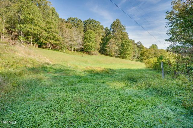 Lot 3 Bays Mountain Road, Rogersville, TN 37857