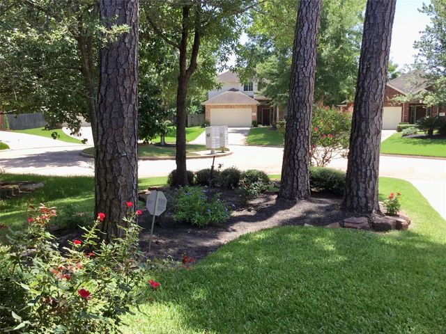 14 Heron Hollow Court, The Woodlands, TX 77382