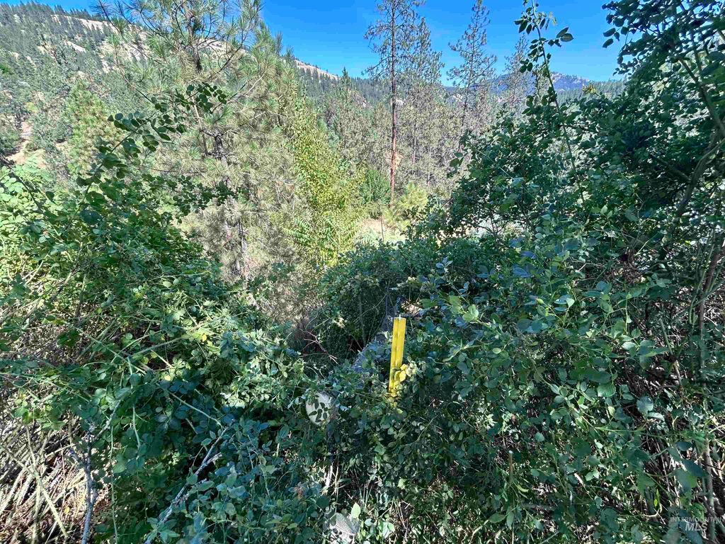 TBD Highland Ct, Orofino, ID 83544 photo 13