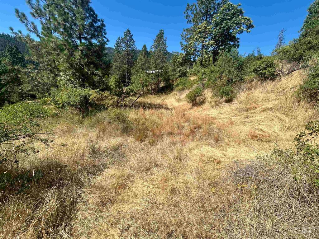 TBD Highland Ct, Orofino, ID 83544 photo 4