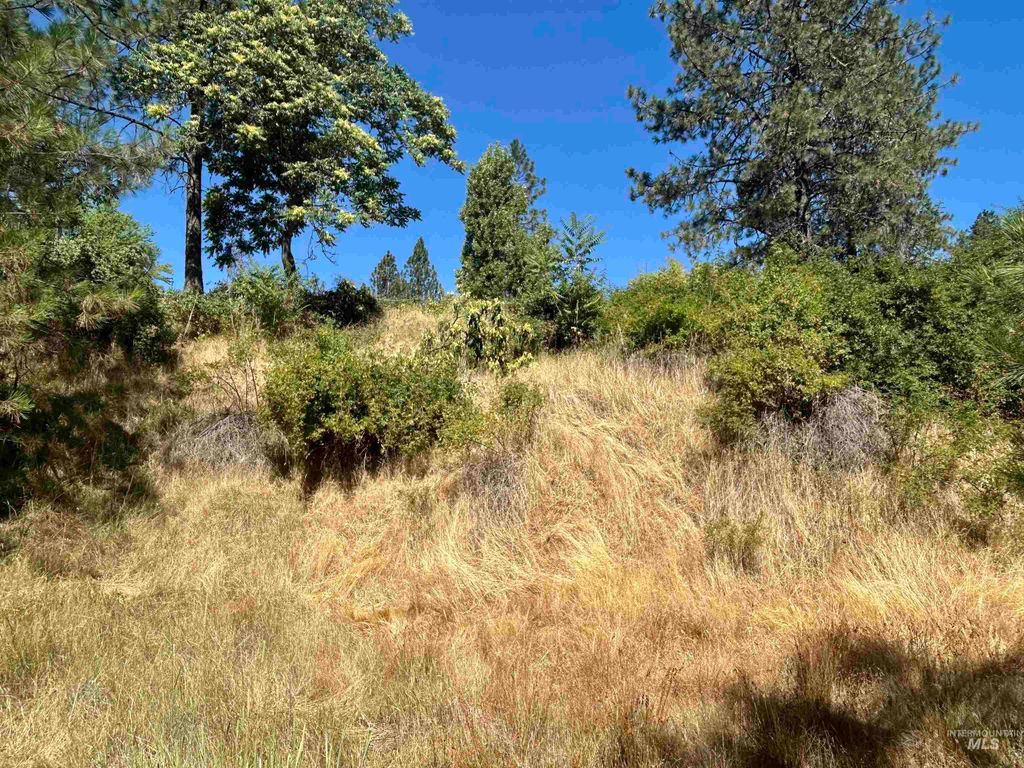 TBD Highland Ct, Orofino, ID 83544 photo 6