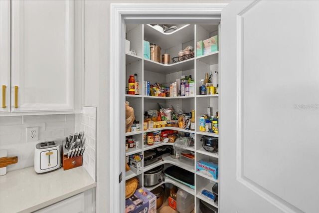 34382 EVERGREEN HILL COURT, Wesley Chapel, FL 33545