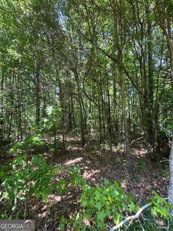 0 Mize Road, Commerce, GA 30529 — exterior