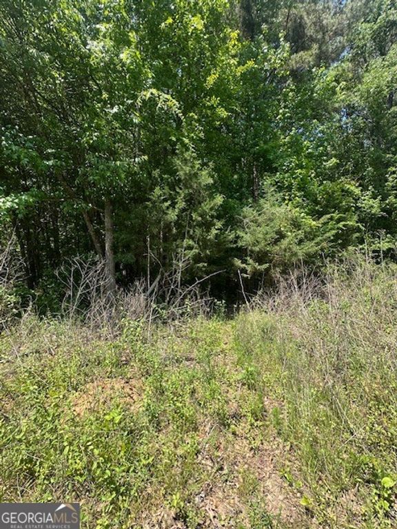 0 Mize Road, Commerce, GA 30529 — photo 4