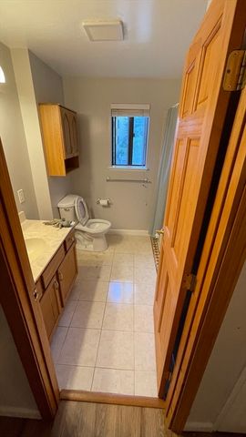 46 Village Hill Ln 46, Natick, MA 01760