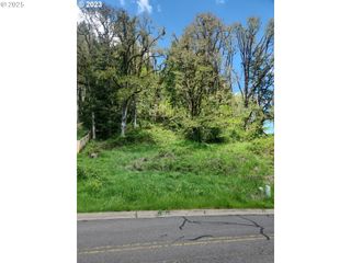 Kalapuya Way Lot 18, Cottage Grove, OR 97424