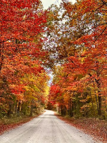 9002 E Agate Avenue, Nashville, IN 47448