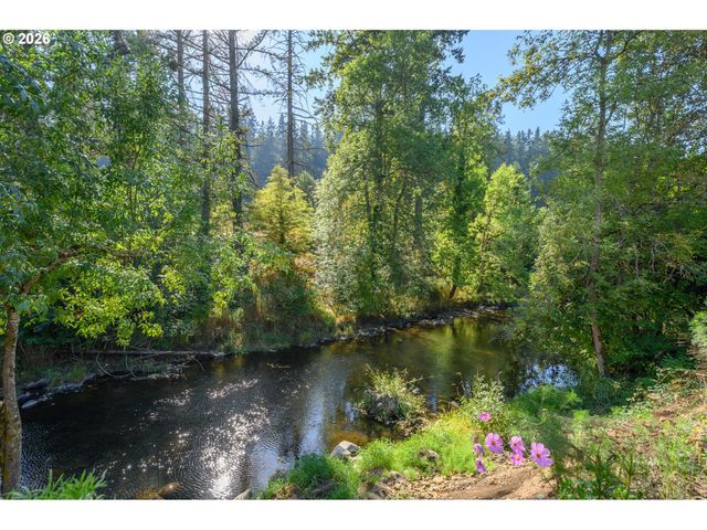 1160 BEDLINGTON Ter, Silverton, OR 97381