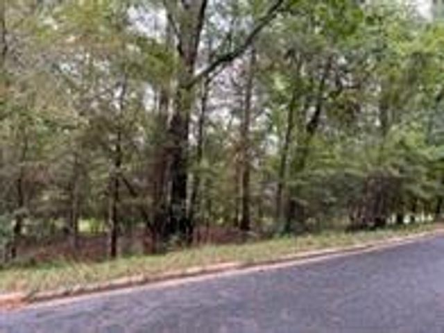 724 Overbrook Drive, Huntsville, TX 77340