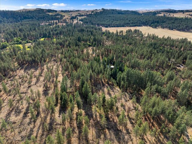 12717 S Spotted Rd, Cheney, WA 99004