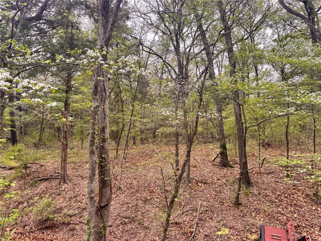 656 County Road 2680, Bonham, TX 75418