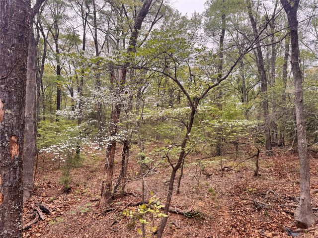 656 County Road 2680, Bonham, TX 75418