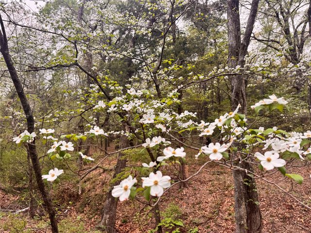 656 County Road 2680, Bonham, TX 75418