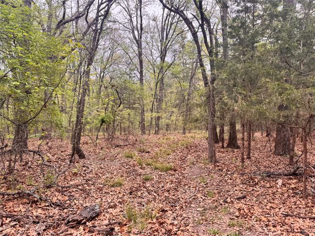 656 County Road 2680, Bonham, TX 75418