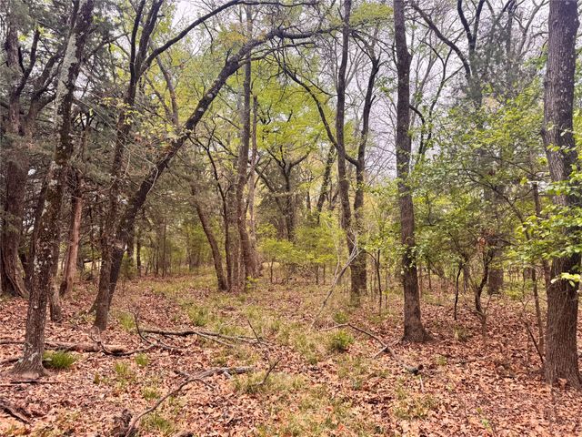 656 County Road 2680, Bonham, TX 75418