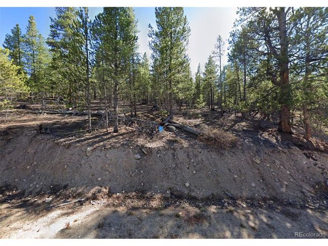 852 Spruce Dr, Twin Lakes, CO 81251