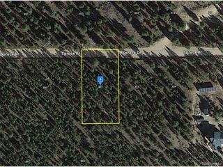 852 Spruce Dr, Twin Lakes, CO 81251