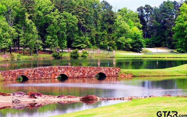 Lot 6C Lake Bluff Drive North, Bullard, TX 75757
