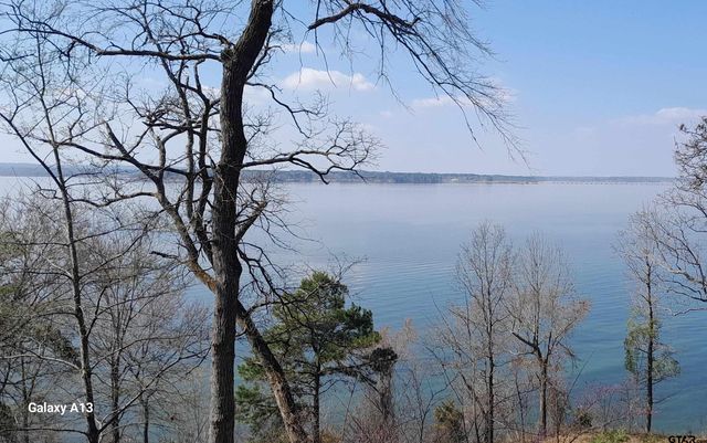 Lot 6C Lake Bluff Drive North, Bullard, TX 75757