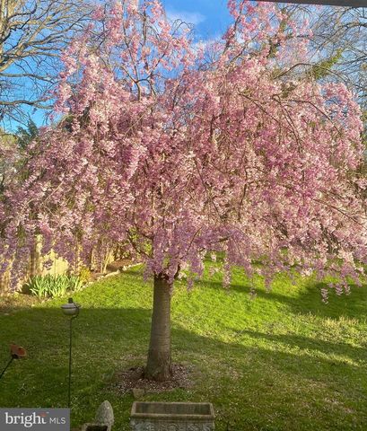 738 DENNIS AVE, Silver Spring, MD 20901