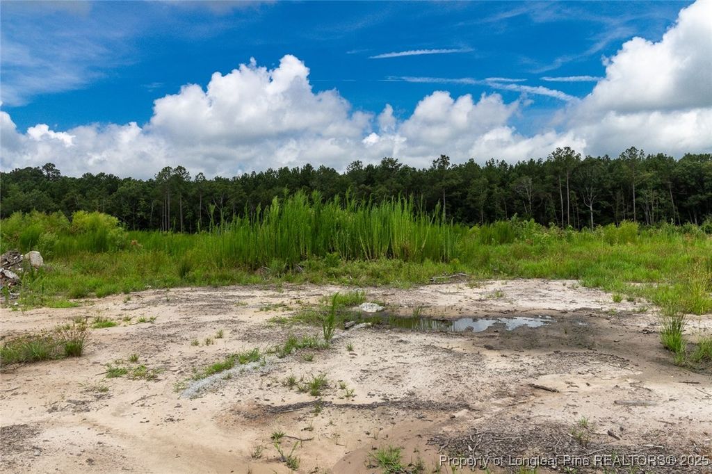 Meadow Road, Lumberton, NC 28358
