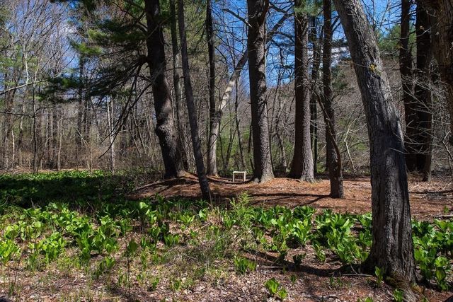 51 Turning Mill Rd, Lexington, MA 02420