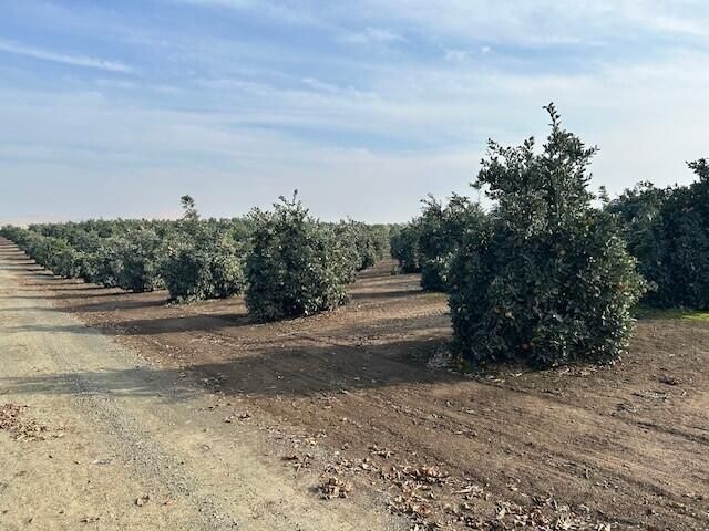 Rd 264, Terra Bella, CA 93270