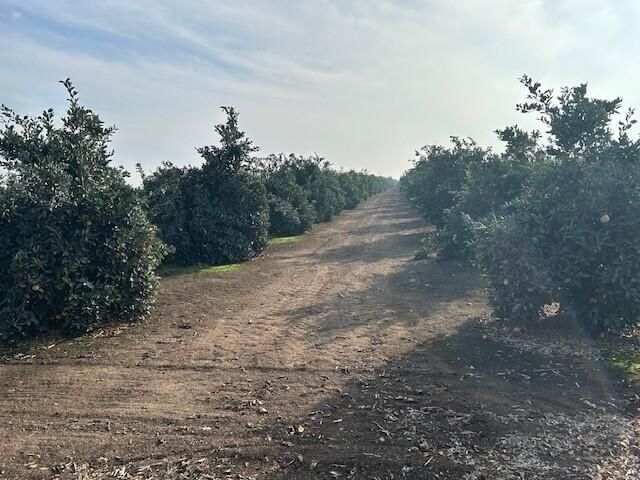 Rd 264, Terra Bella, CA 93270