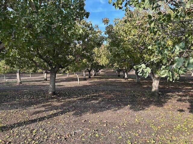 Rd 264, Terra Bella, CA 93270