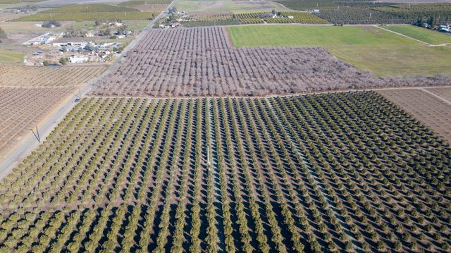 Rd 264, Terra Bella, CA 93270