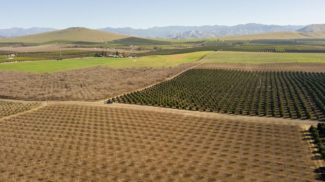 Rd 264, Terra Bella, CA 93270