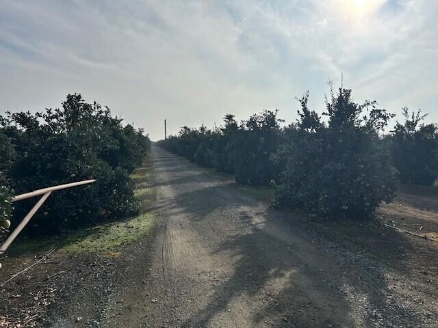 Rd 264, Terra Bella, CA 93270