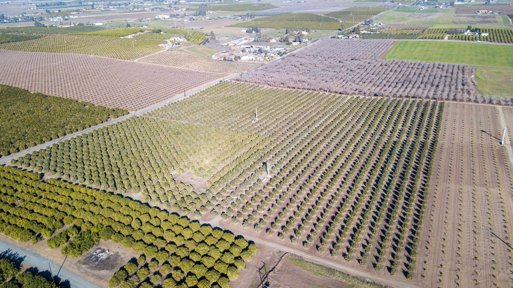 Rd 264, Terra Bella, CA 93270