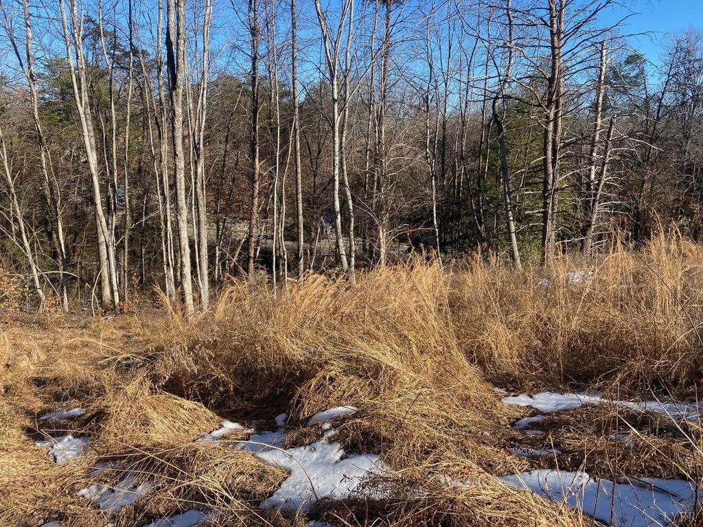 0 Wright Shop Road, Madison Heights, VA 24572