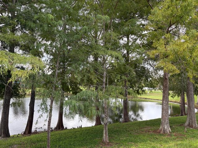 255 TOM SAWYER COURT, Orlando, FL 32828