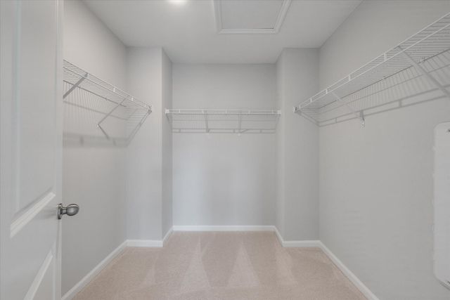 398 Painted Lady Lane, Goose Creek, SC 29445