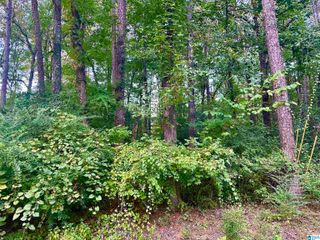 237 SAM PATE DRIVE, Birmingham, AL 35215