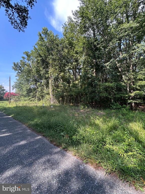 CHESTERVILLE FOREST RD #PARCEL 84A, Millington, MD 21651