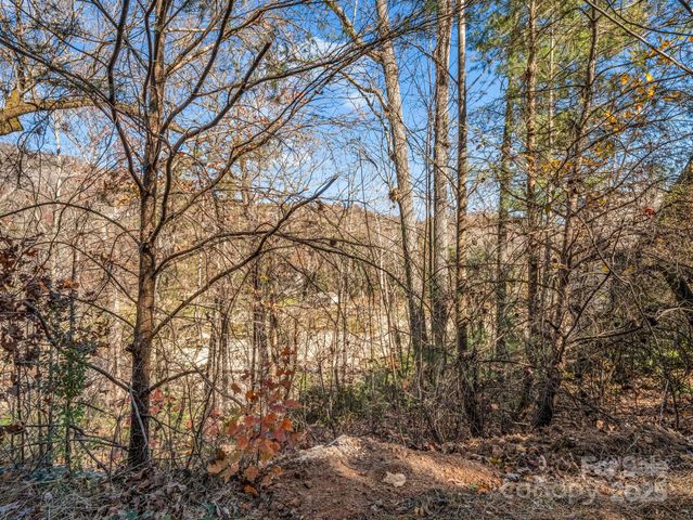 167 Firefly Point, Lake Lure, NC 28746