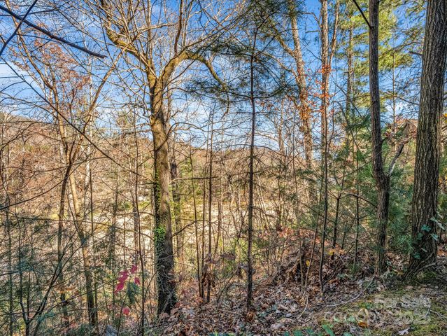 167 Firefly Point, Lake Lure, NC 28746