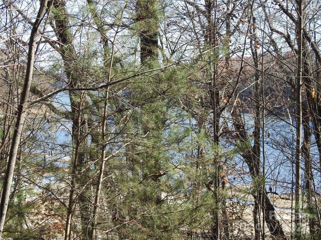 167 Firefly Point, Lake Lure, NC 28746