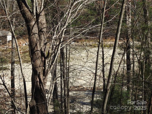 167 Firefly Point, Lake Lure, NC 28746