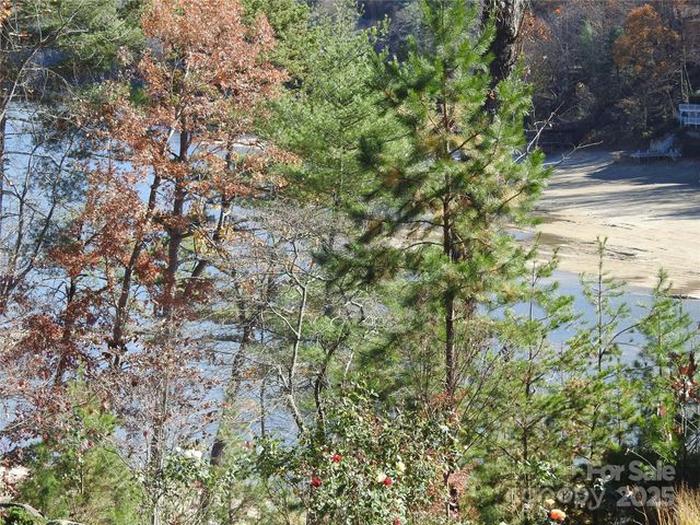 167 Firefly Point, Lake Lure, NC 28746