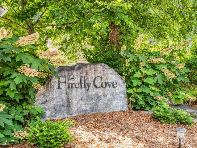 167 Firefly Point, Lake Lure, NC 28746