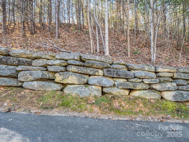 167 Firefly Point, Lake Lure, NC 28746