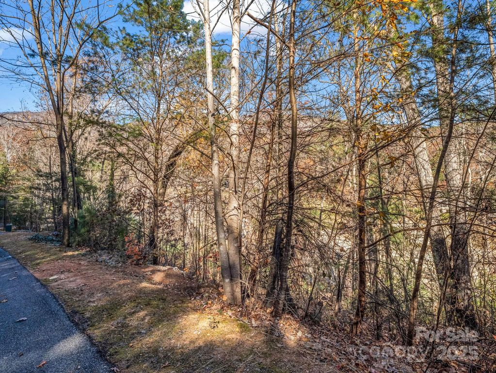 167 Firefly Point, Lake Lure, NC 28746