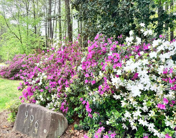 996 Cleland Drive, Chapel Hill, NC 27517