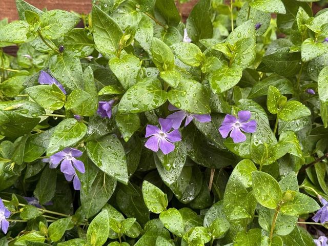 1544 Saguaro Drive, Salinas, CA 93905