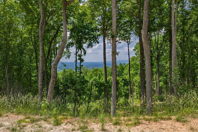 Lot 411 Calloway Mountain Road, Talking Rock, GA 30175