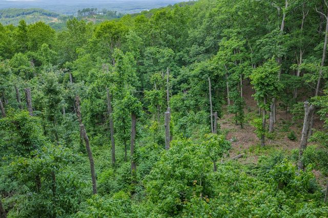 Lot 411 Calloway Mountain Road, Talking Rock, GA 30175